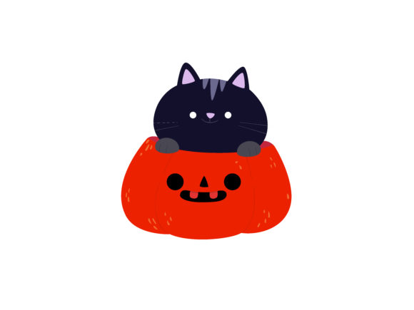 Halloween Illustration Cat Pumpkin